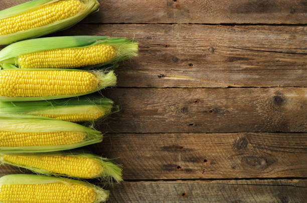 istock Fresh corn on cobs on vintage rustic wooden background, closeup, top view, copy space 956940288