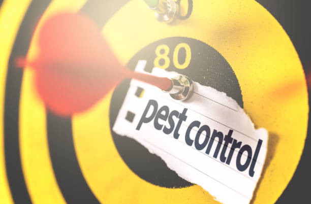 istock Pest Control written on Arrow in the bullseye 956943244