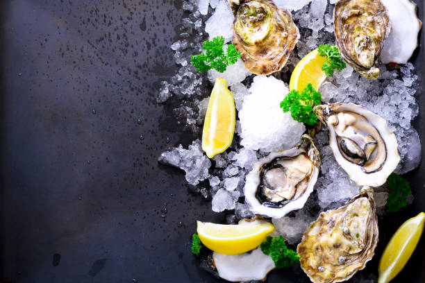 istock Fresh opened oysters, lemon, herbs, ice on dark metal background. Top view, copy space 956947288