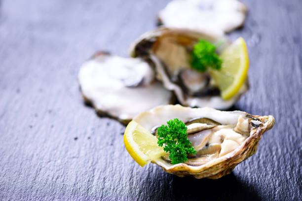 istock Fresh opened oysters, lemon, herbs, ice on dark metal background. Top view, copy space 956948012