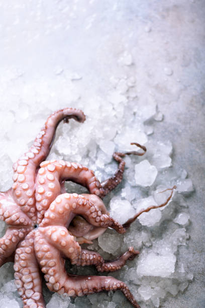 istock Fresh raw octopus on ice, grey concrete background. Top view, copy space 956950808