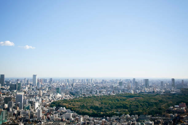 istock Cityscape of Tokyo 956955374