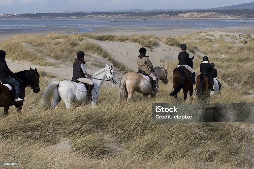 dunas de les chevaux dans - Foto de stock de Andar royalty-free