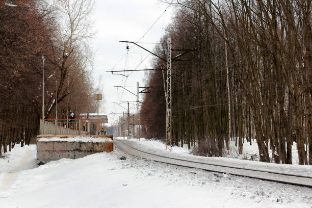 istock train station in the forest in winter 956962582