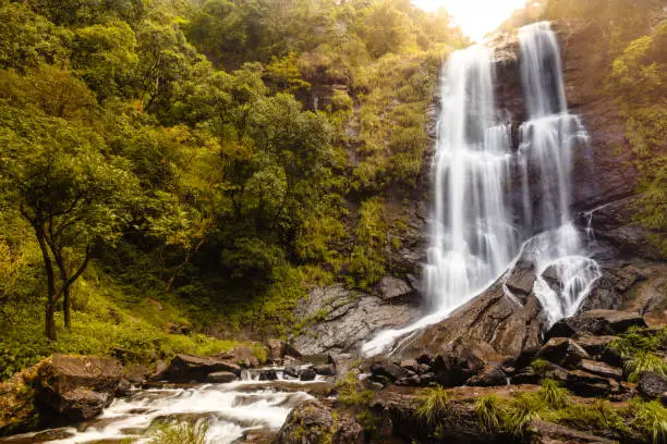 Hebbe falls in Chikmagalur, Karnataka, India. Beautiful waterfalls in Bhadra tiger reserve forest. Amazing and serene greenery. Good for tourism. Incredible India and western ghats. Kemmangundi