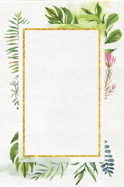 istock Hand drawn watercolor florals with golden elements. Frame design with leaves, plants, flowers and geometric elements, watercolor paper background 956964002