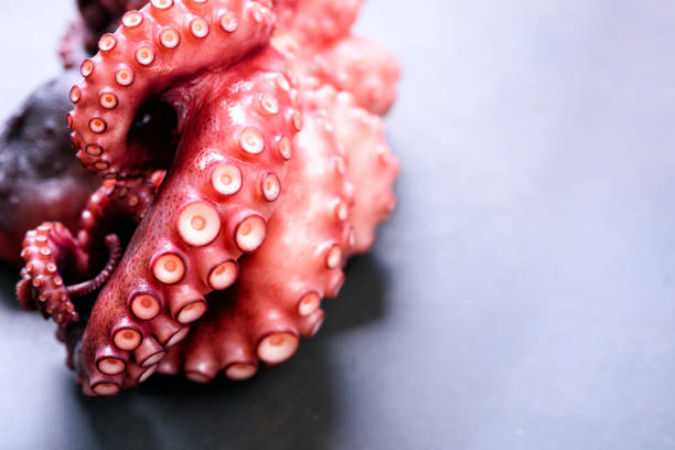 istock Boiled octopus on metal background with copy space 956966440