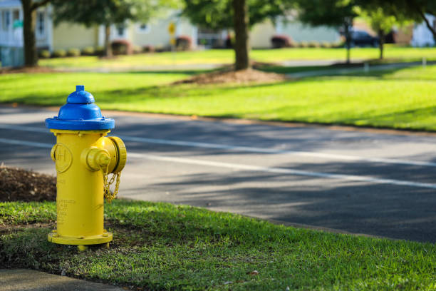istock Fire hydrant on sidewalk with green grass on the background 956966712