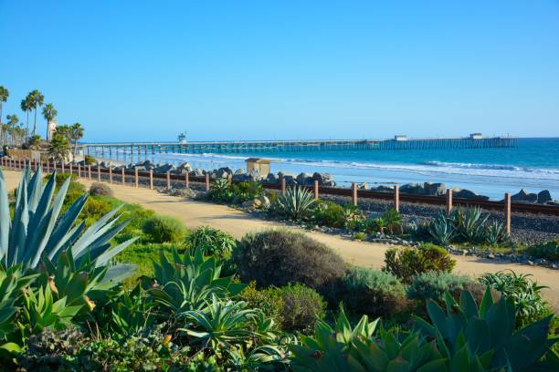 California Orange County Scenic Beautiful view thru green plants agave aloe vera San Clemente Pier in Linda Lane Park West Coast California sunny day railways road and waves fishermans wharf san francisco photos stock pictures, royalty-free photos & images