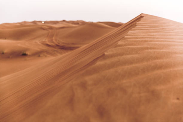 istock Dune bashing adventure at Dubai desert 956969590
