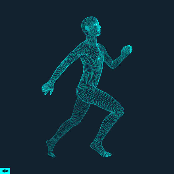 istock 3d Running Man. Design for Sport, Business, Science and Technology. Vector Illustration. Human Body. 956969638
