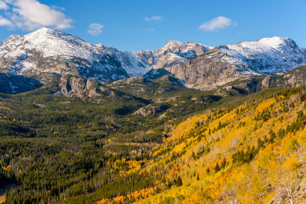 istock Aspen grove at autumn in Rocky Mountains 956972702