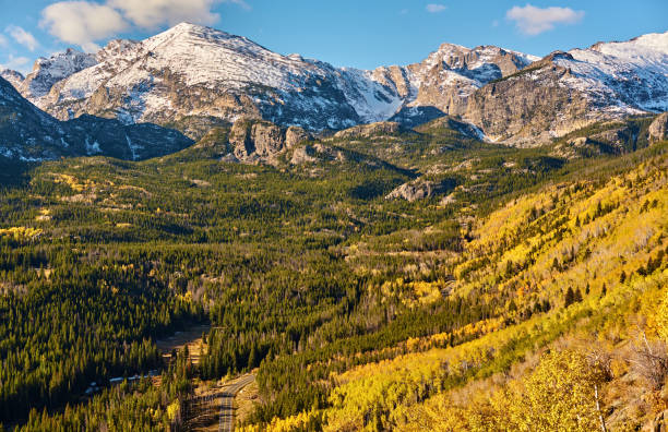 istock Aspen grove at autumn in Rocky Mountains 956972734