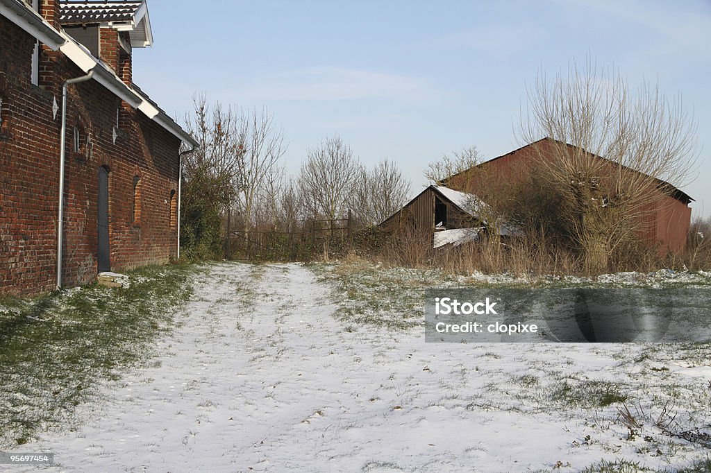 La neige dans le pays - Photo de Arbre libre de droits