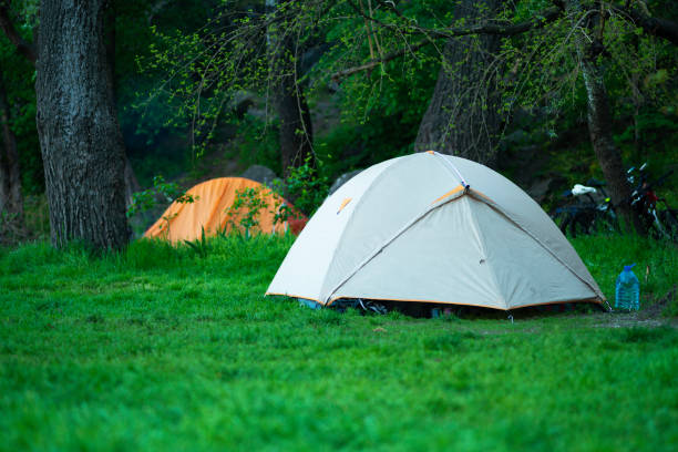 istock Tents on a picturesque green meadow 956977088