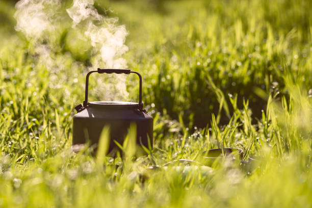 Small steel kettle is boiling on a gas burner amid a lush green grass - an amazing sunny morning during rest in nature.