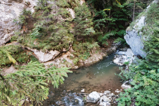 istock Small waterfall in the Bicaz Gorge, Romania 956977580