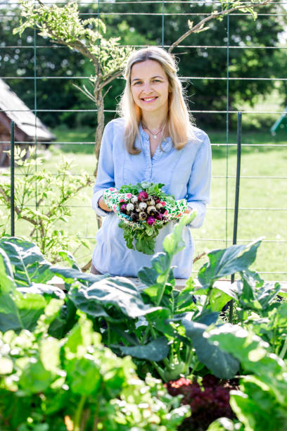 beautiful woman is holding fresh bio radishes in her hands - gardening vegetable garden action planting imagens e fotografias de stock