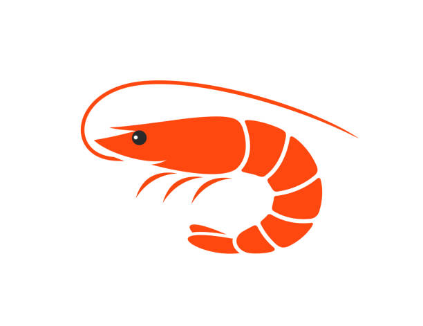 추상 새우입니다. 흰색 배경에 고립 된 새우 - prawn stock illustrations