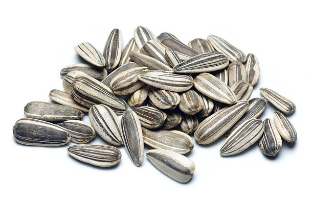 A lot of sunflower seeds on white background