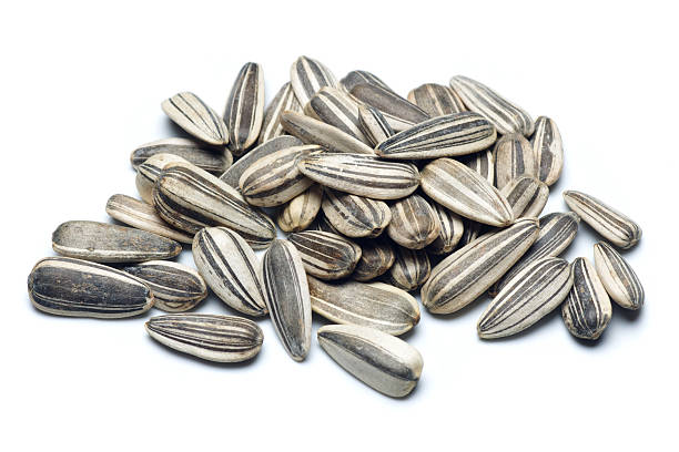 A lot of sunflower seeds on white background stock photo
