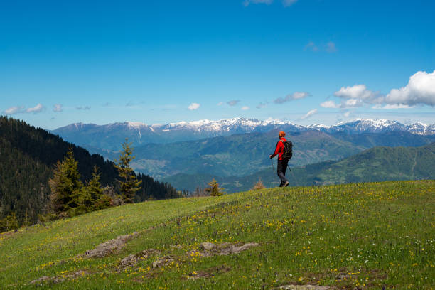 istock Hiker is walking along a green mountain meadow 956981994