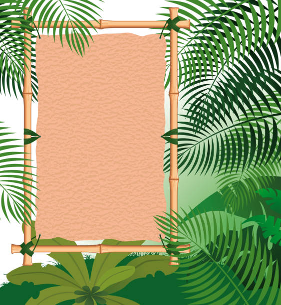фоновый лес - tropical climate banner tropical rainforest placard stock illustrations