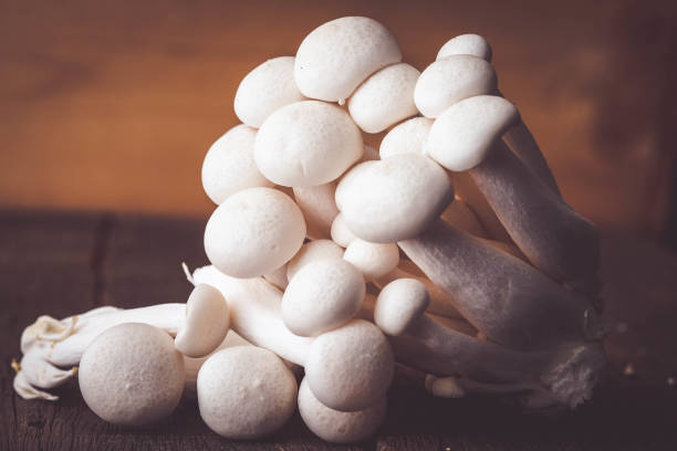 istock Mushrooms on the wood table raw materials for cooking 956989406