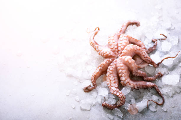 istock Fresh raw octopus on ice, grey concrete background. Top view, copy space. Toned sunny effect and sunlights 956997536
