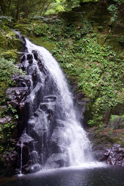 istock Akame 48 Waterfalls: Mysterious hiking trails, giant trees & moss covered rock formations, untouched nature, lush vegetation, cascading waterfalls & natural pools in rural Japan close to Osaka 956997964