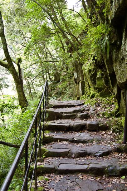 Akame 48 Waterfalls: Mysterious hiking trails, giant trees, untouched nature, moss covered rocks, lush vegetation, cascading waterfalls and enormous amphibians in rural Japan close to Osaka and Kyoto Asia akame shijyuhachi stock pictures, royalty-free photos & images