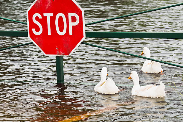 Caution - Flood waters ahead stock photo