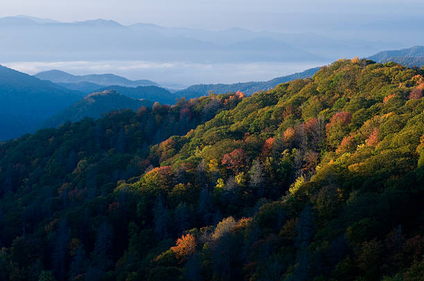 Smoky Mountains National Park stock photo