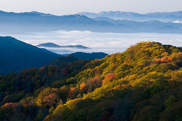スモーキー山脈国立公園 - fog forest morning autumn ストックフォトと画像