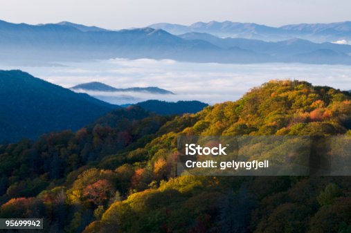 istock Smoky Mountains National Park 95699942