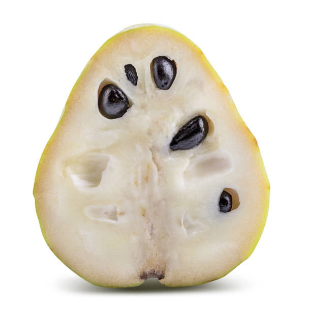 istock Fresh cherimoya (sugar apple) isolated on white background with shadow. Clipping path. 957003006
