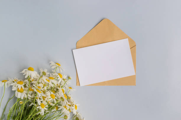 istock Mockup white greeting card and envelope with white daisie 957003110