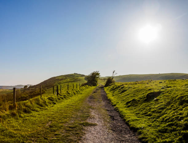 istock footpath dirt road track dorset england uk 957005208