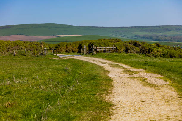 istock footpath dirt road track dorset england uk 957005584