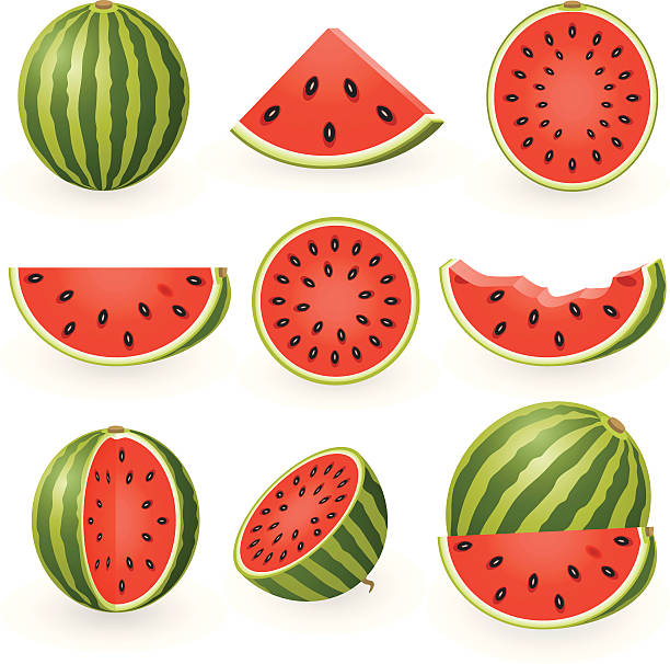 ilustraciones, imágenes clip art, dibujos animados e iconos de stock de sandía - watermelon