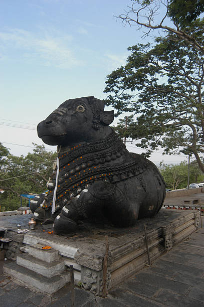 istock Nandi at Chamundi Hills in Mysore, India 95701000