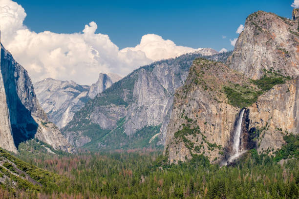 istock Yosemite National Park Valley summer landscape 957011156
