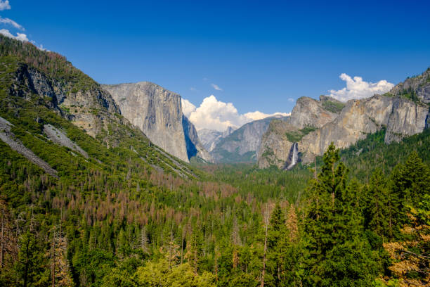 istock Yosemite National Park Valley summer landscape 957011182