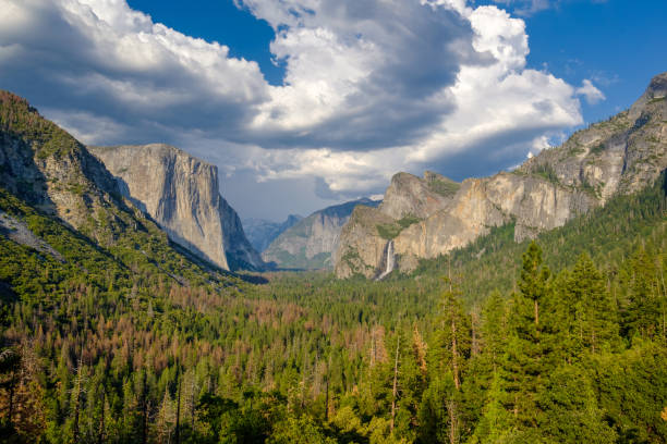 istock Yosemite National Park Valley summer landscape 957011254