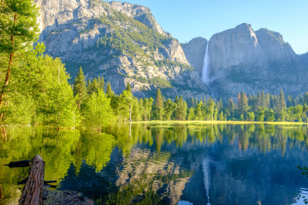 istock Merced River and Yosemite Falls landscape 957011398