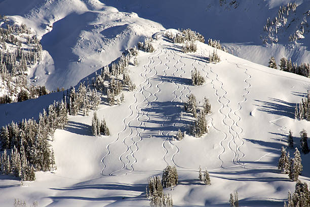 des pistes - ski track powder snow track snow photos et images de collection