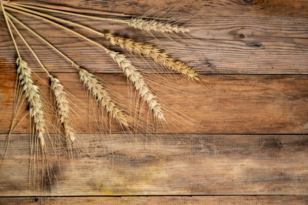 istock Wheat head on wooden floor 957022930