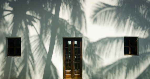 Palm tree shadows on a white house with a set of door and windows