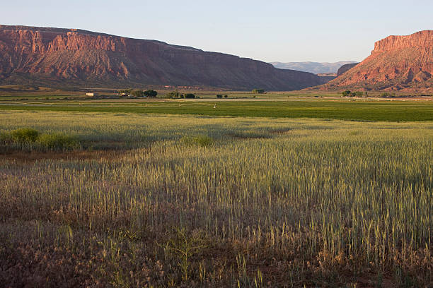 istock Green valley surrounded by sandstone bluffs 95703139