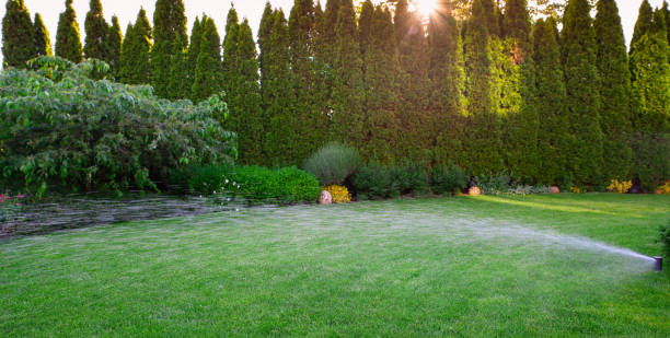 istock Irrigation of the green grass with sprinkler system. 957035834